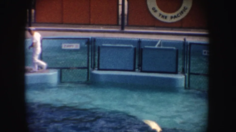 1962 California home-movie frame showing a white-uniformed trainer near a fenced dolphin pool with visible ZIPPY II signage.