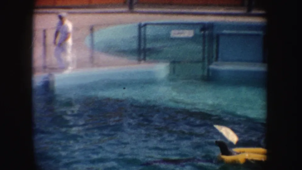 A white-uniformed trainer moves near the fenced pool edge while a yellow training float sits in the blue water.
