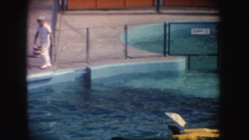 1962 California frame with the trainer holding a striped prop near the pool fence, with ZIPPY II signage visible in the background.