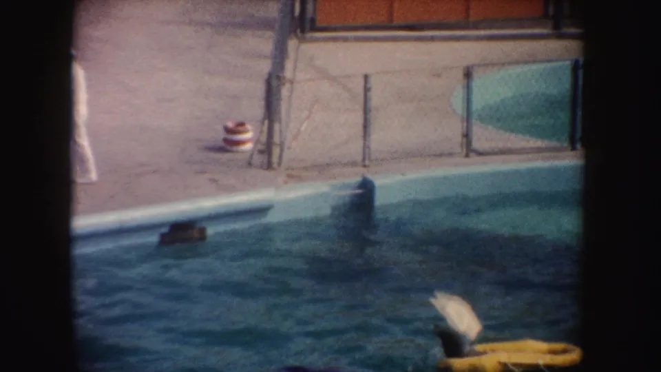 Poolside view showing chain-link fencing, a striped prop on the deck, blue water, and a yellow float, with the trainer partly out of frame.