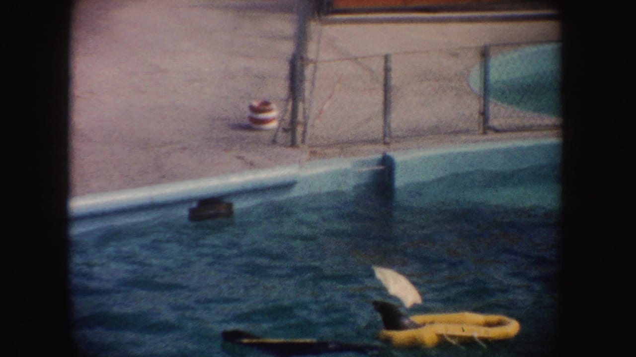 1962 California home-movie frame showing a dark seal pulling a yellow raft with another seal in a pool near a fence and life preserver.