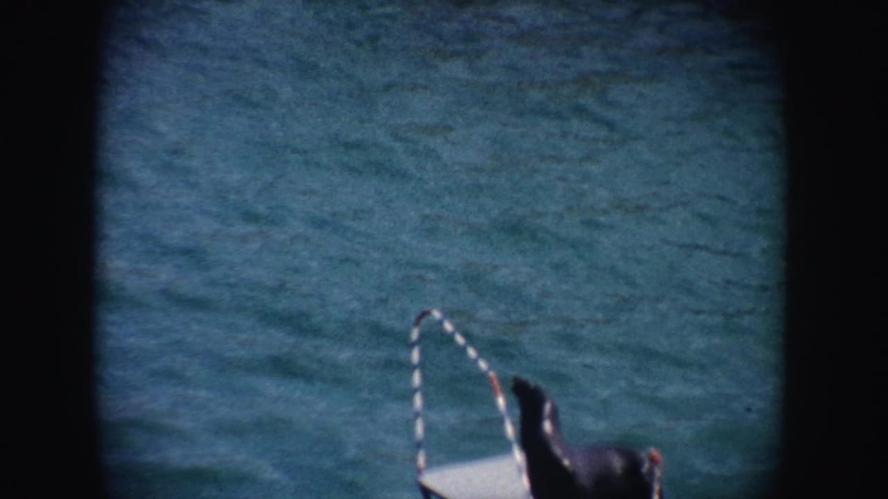1962 California 8mm frame showing a seal partly visible on a white platform near calm blue-green water and a striped curved rail.