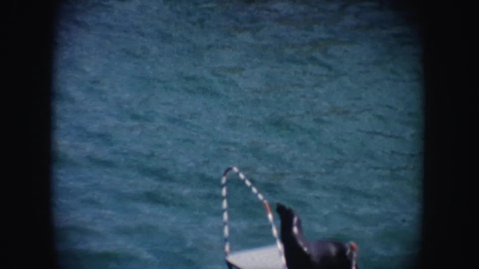 1962 California 8mm frame showing a seal partly visible on a white platform near calm blue-green water and a striped curved rail.