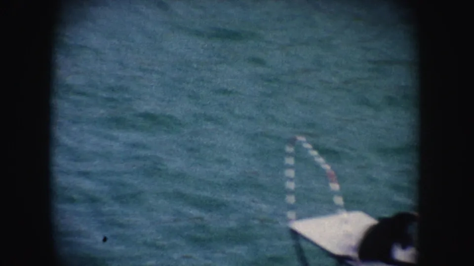 1962 California 8mm frame showing a dark seal resting on the edge of a white platform beside blue-green water.