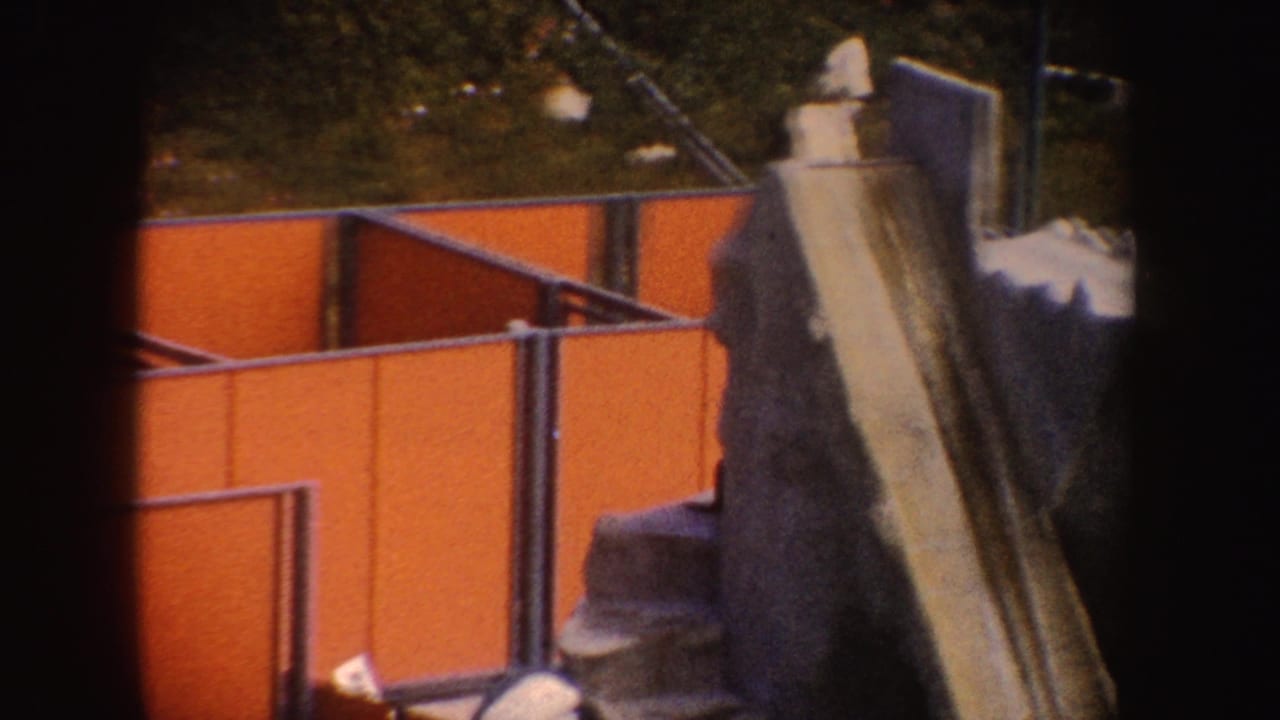 Orange zoo enclosure walls, railings, and rockwork with the seal partly obscured.