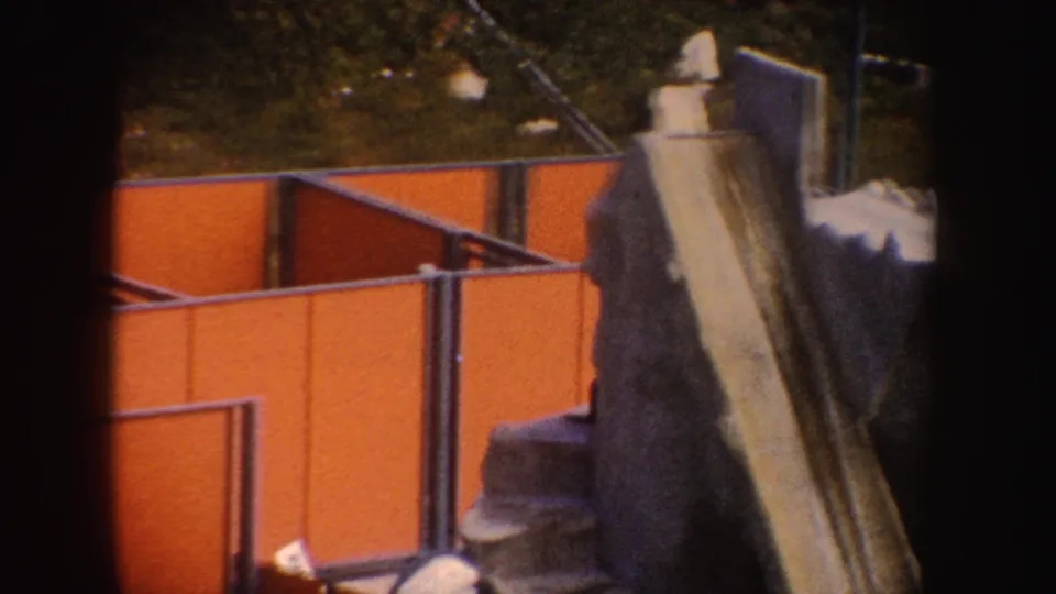 California 1962 zoo enclosure view with orange walls, railings, and the seal partly hidden behind rockwork.