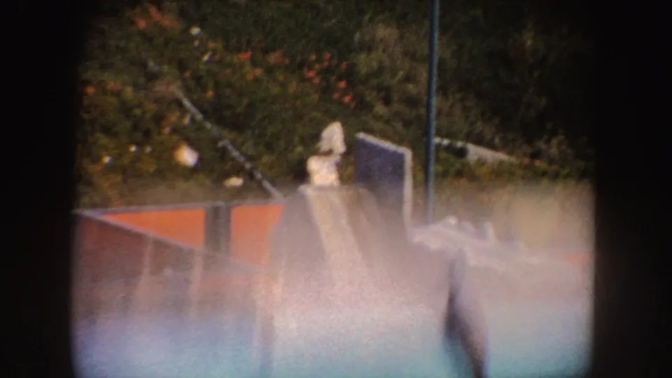 Handheld 8mm frame of the seal descending from the enclosure rockwork toward the pool in California, 1962.