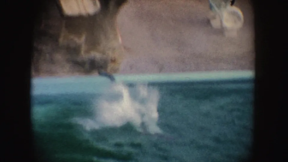 The seal lands in the turquoise pool, creating a large splash in the 1962 California footage.