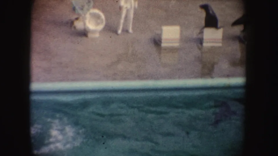 A white-clad trainer-like figure and poolside props stand near the water as the seal appears on the deck.