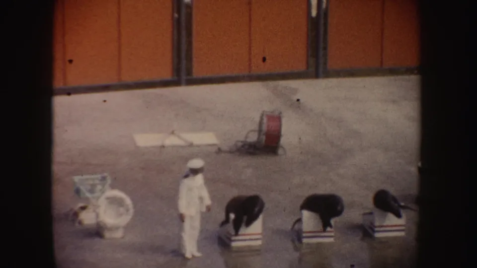 1962 California home-movie frame with a trainer in white positioned among sea lions on striped platforms at a marine animal show.