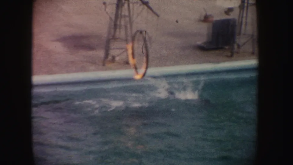 1962 California 8mm frame showing pool splash after a dolphin passes near a flaming hoop during a marine animal presentation.