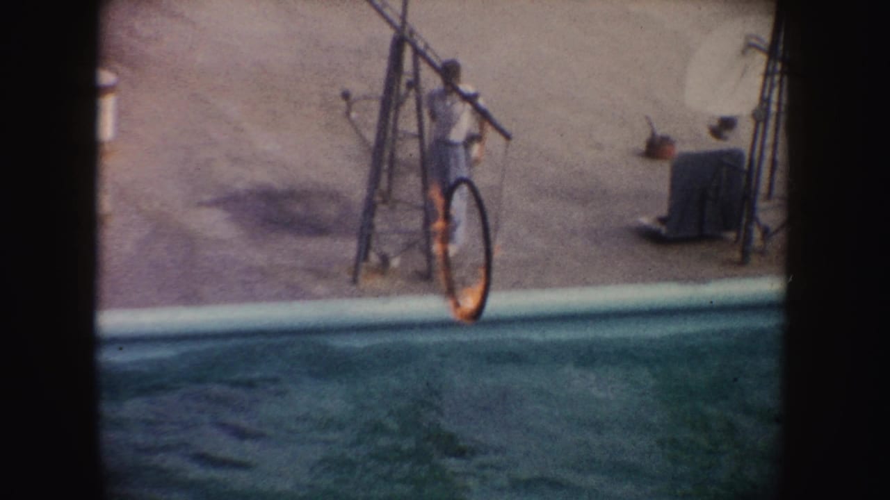 Trainer stands beside a flaming hoop over a pool as a dolphin approaches from the water.
