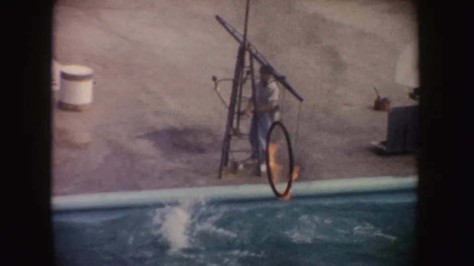 After the dolphin jump, a splash breaks the pool surface beside the flaming hoop and trainer in faded 8mm footage.