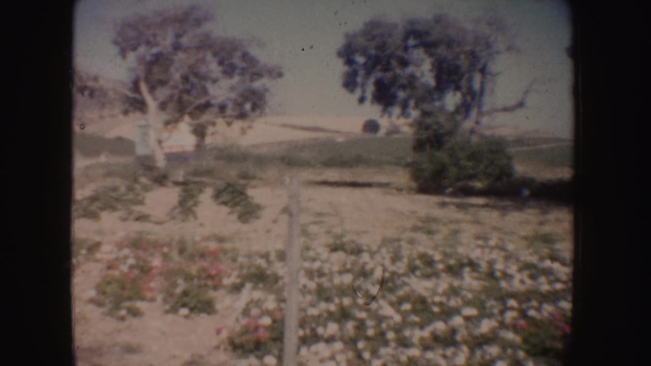 Dry flower bed with white fence posts, trees, and open hills beyond.