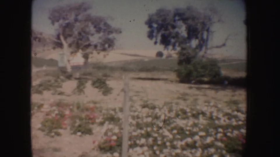1962 California 8mm frame showing dry garden ground, scattered flowers, white fence posts, trees, and distant open hills.