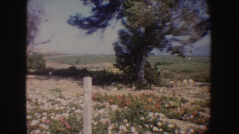1962 California 8mm frame of a white fence post in front of planted flowers, dry earth, trees, and hazy hills.