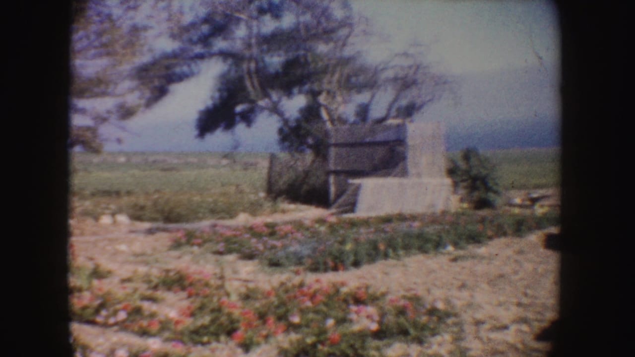 1962 California home-movie frame showing wildflowers, a large tree, open fields, and a small pale structure beside a dirt path.