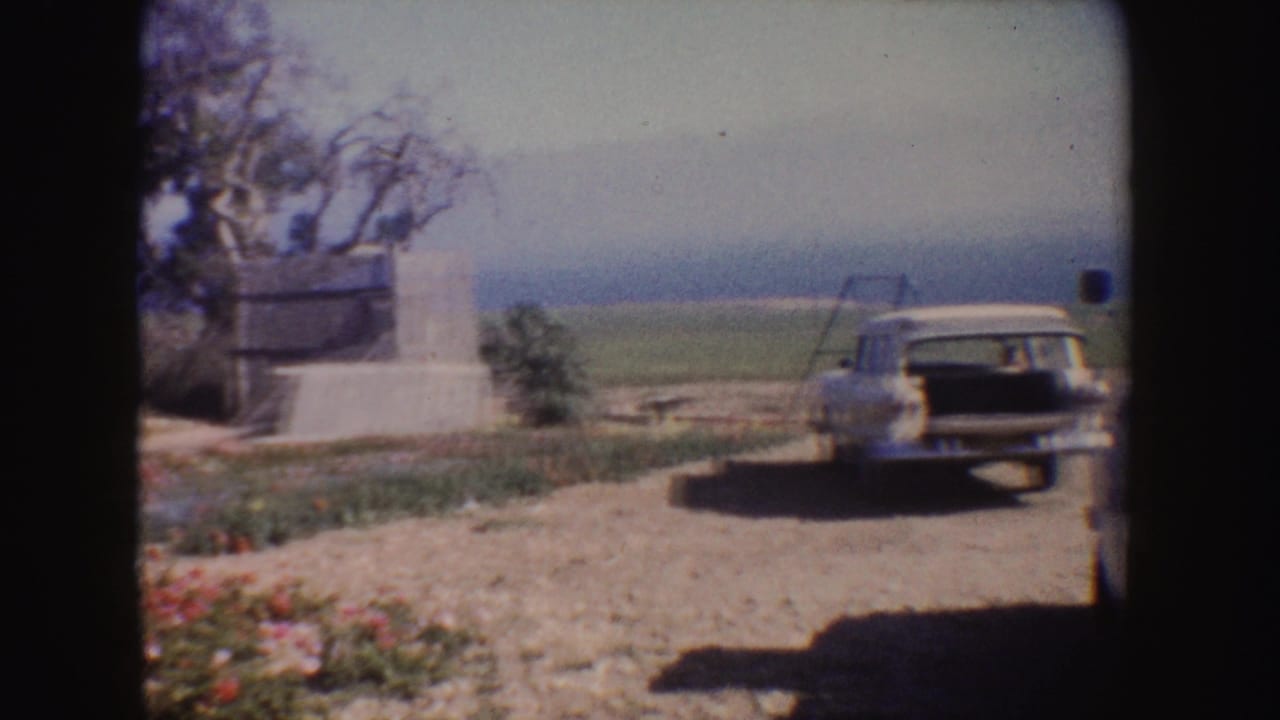 Light-colored station wagon parked on a dirt path beside fields, flowers, trees, and a small structure.