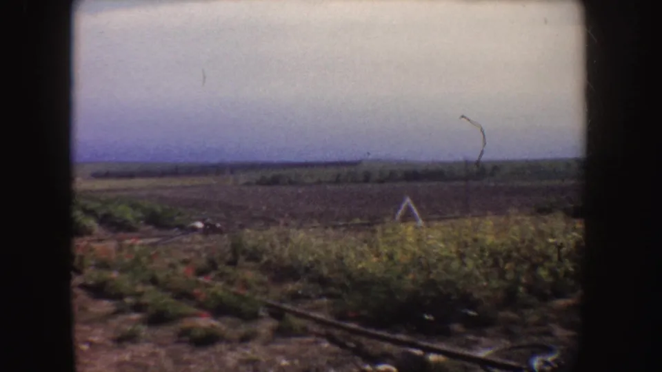 1962 California countryside view with wildflowers, cultivated ground, low distant hills, and a hazy sky in soft 8mm color.