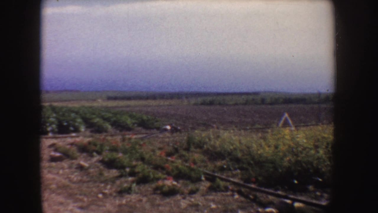 1962 California 8mm frame showing crop rows, tilled earth, and open rural farmland under a hazy horizon.