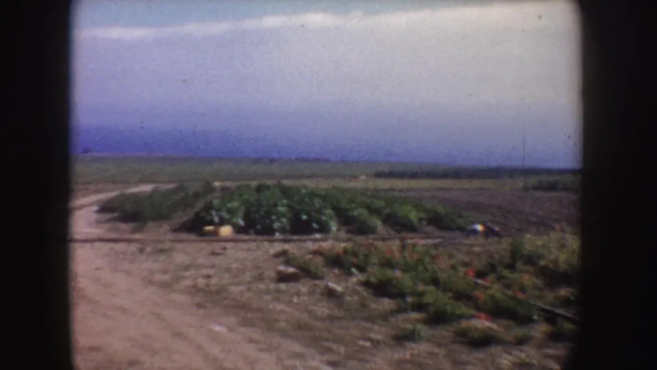 1962 California home-movie frame with a dirt access path, green crop rows, tilled soil, and distant flat farmland.