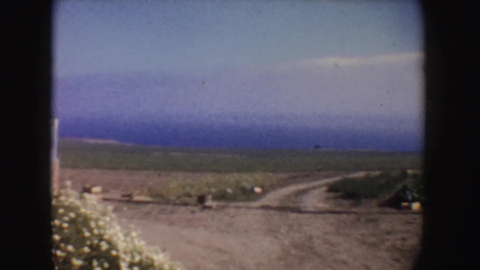 1962 California frame showing a dirt road through farmland, low vegetation, distant fields, and light-colored flowers at the edge.