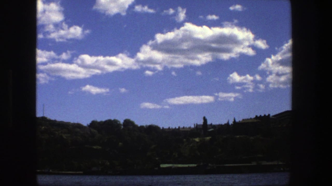 Tree-lined shoreline across water beneath a bright blue sky with scattered clouds.