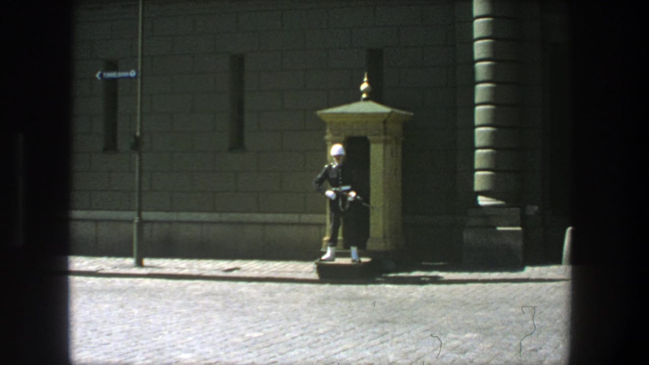 Wide view of a uniformed guard standing by a sentry box on a cobblestone street.