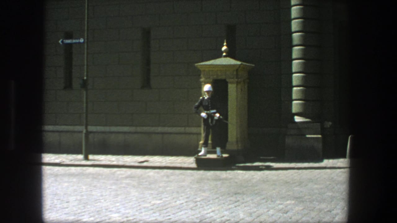 Wide frame of the guard post with the soldier standing beside the sentry box.