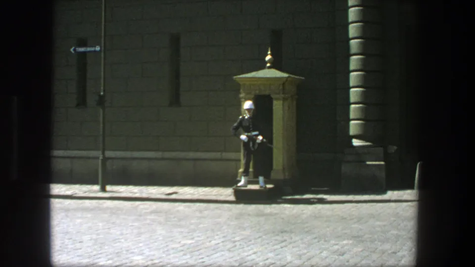 Wide Stockholm street view with a uniformed guard holding a rifle near an ornate guard shelter in bright daylight.