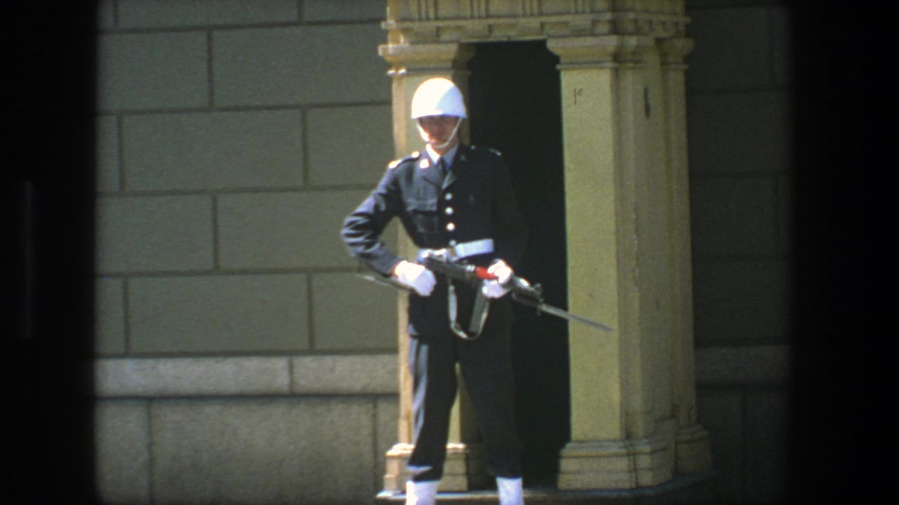 Guard in white helmet stands at attention beside carved stone trim with rifle and bayonet.