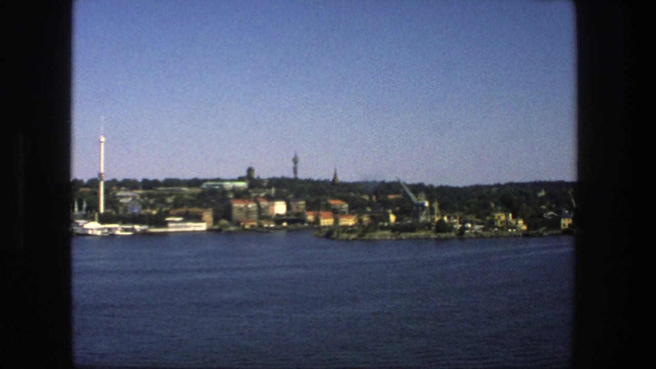 Wide waterfront view with open water, distant buildings, trees, cranes, and a white tower.