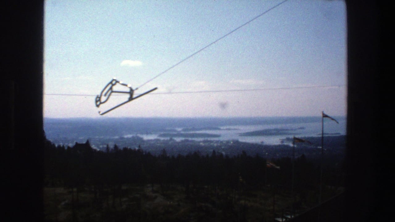 Cable car line over dark forest with distant waterways under a pale blue sky.