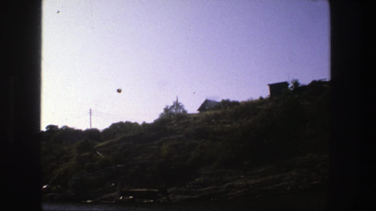 Tree-covered slope with houses, utility lines, pale sky, and dark film gate edges.