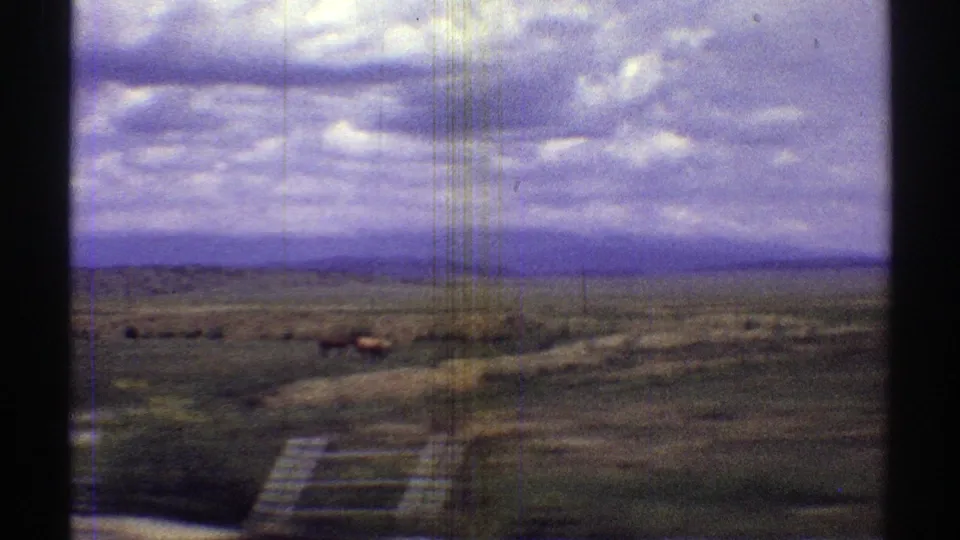 Home-movie frame from 1969 Arizona showing horses in open pasture with low hills and a clouded sky beyond.