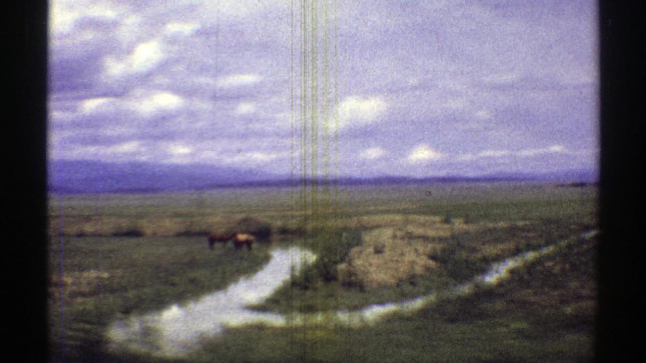 Winding waterway through green pasture with distant animals and low mountains under clouds.