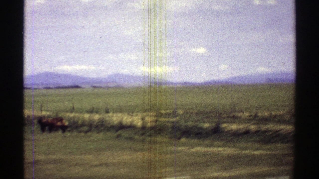 Open pasture with distant animals near a fence line and mountains on the horizon.