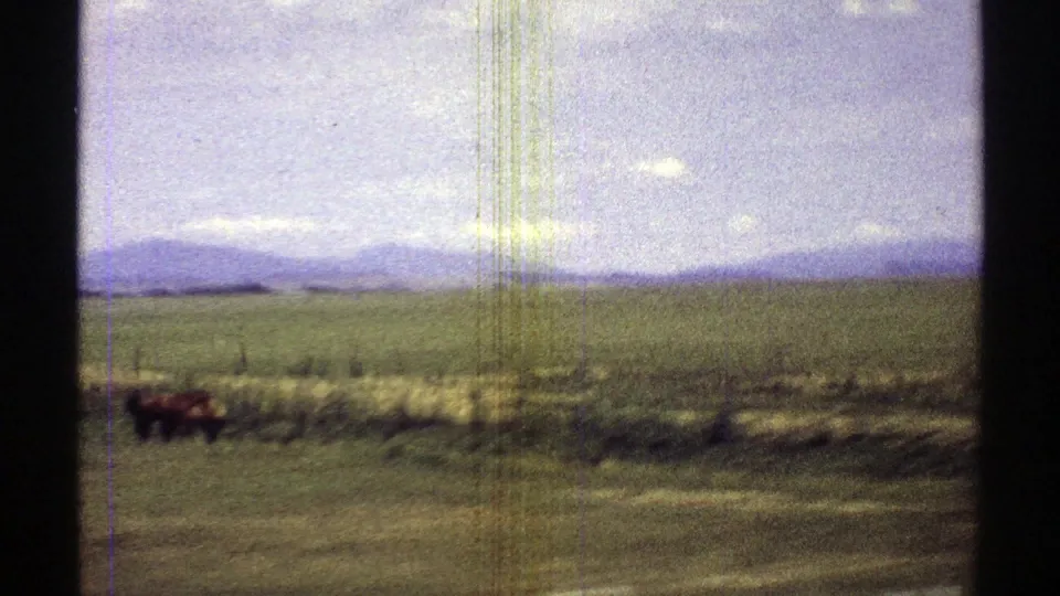 1969 Arizona home-movie view of open pasture with small grazing animals near a fence line, low hills, and a cloudy sky.