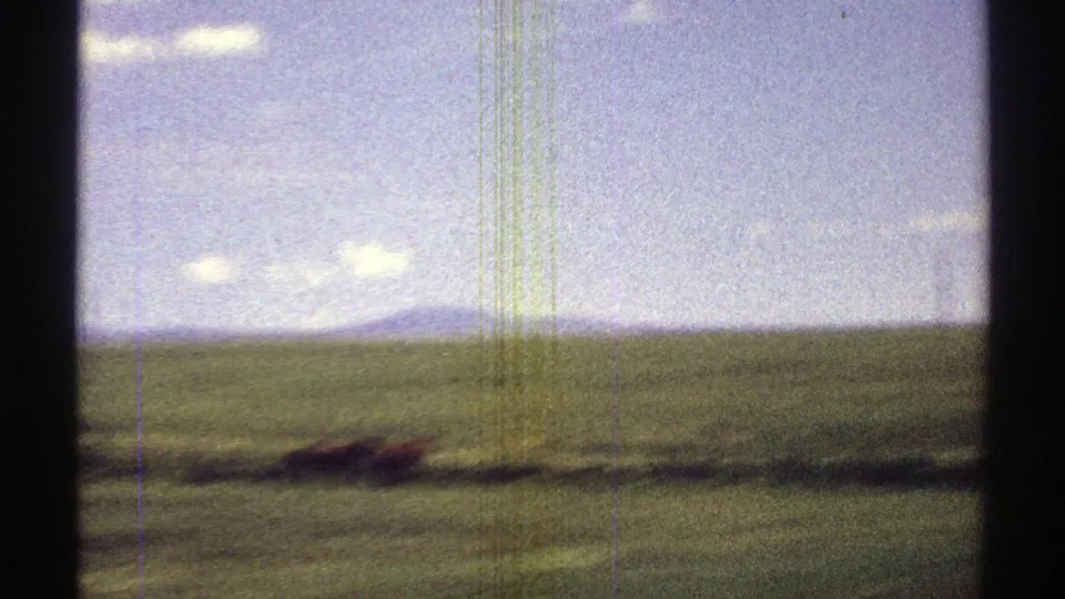 1969 Arizona 8mm frame of a broad green pasture with low brush in the foreground and hazy hills along the horizon.