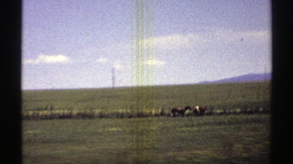 1969 Arizona home-movie frame showing distant animals grazing along a fence line in open pasture with low hills in the background.