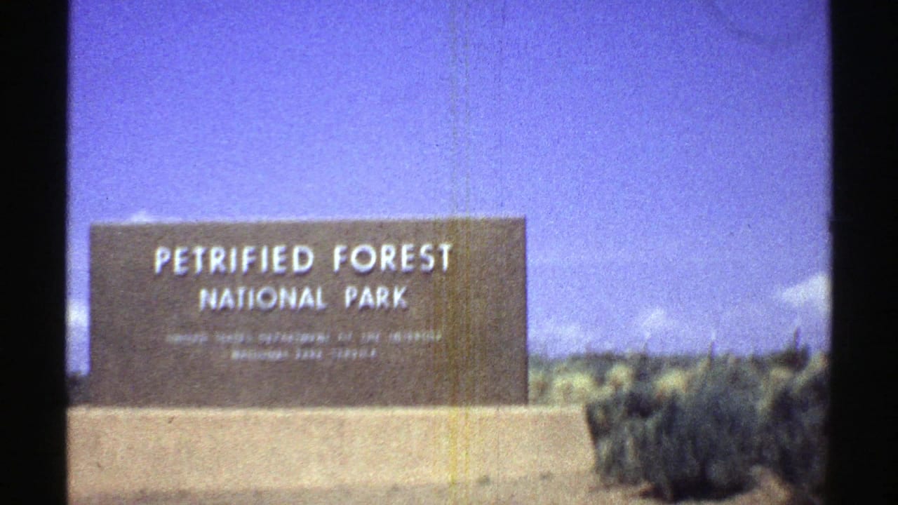 1969 Arizona 8mm frame showing the Petrified Forest National Park entrance sign with low desert vegetation nearby.