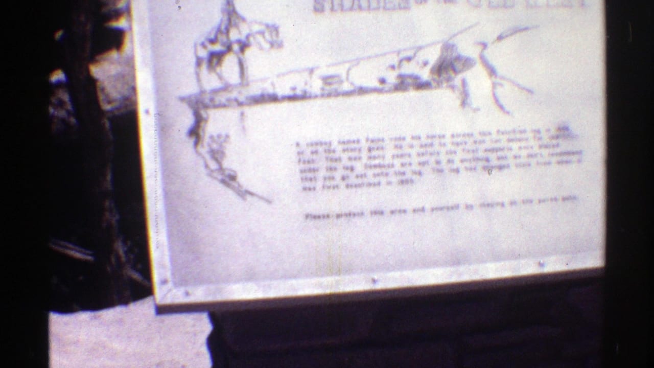 1969 Arizona 8mm frame showing a gray interpretive plaque with a cowboy drawing and text, surrounded by dark pine trunks and forest shade.