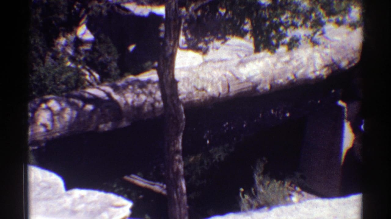 1969 Arizona 8mm frame showing a fallen trunk over a dark stream or shadowed channel with pale rocks and green vegetation.