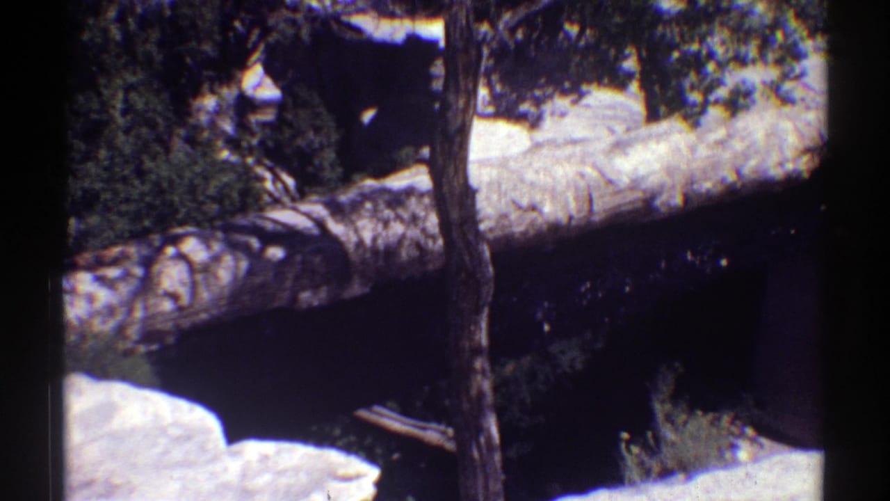 1969 Arizona home-movie frame with a fallen log crossing a dark stream bed, bordered by pale rock and leafy trees.