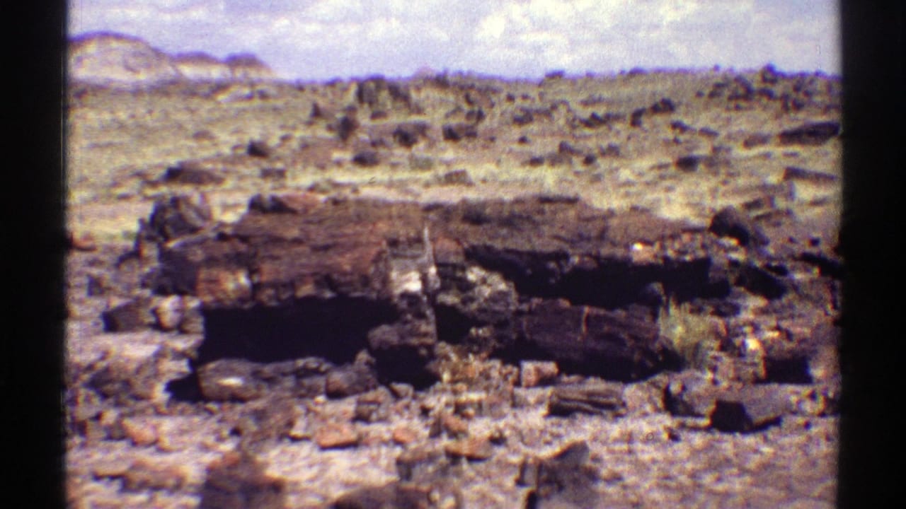 Rocky desert terrain with a large dark petrified wood log and low shrubs under a bright sky.