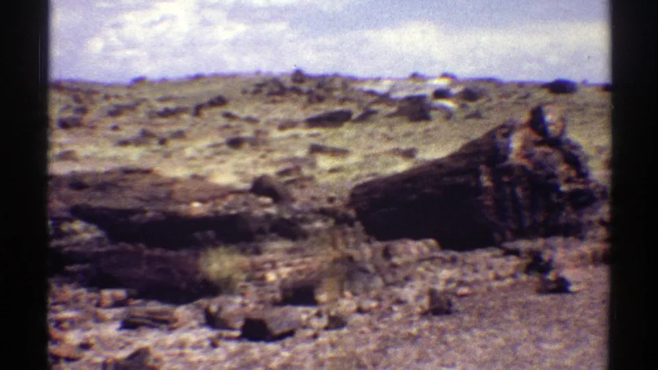 1969 Arizona home-movie frame of petrified wood and scattered rocks across open arid terrain with sparse shrubs.