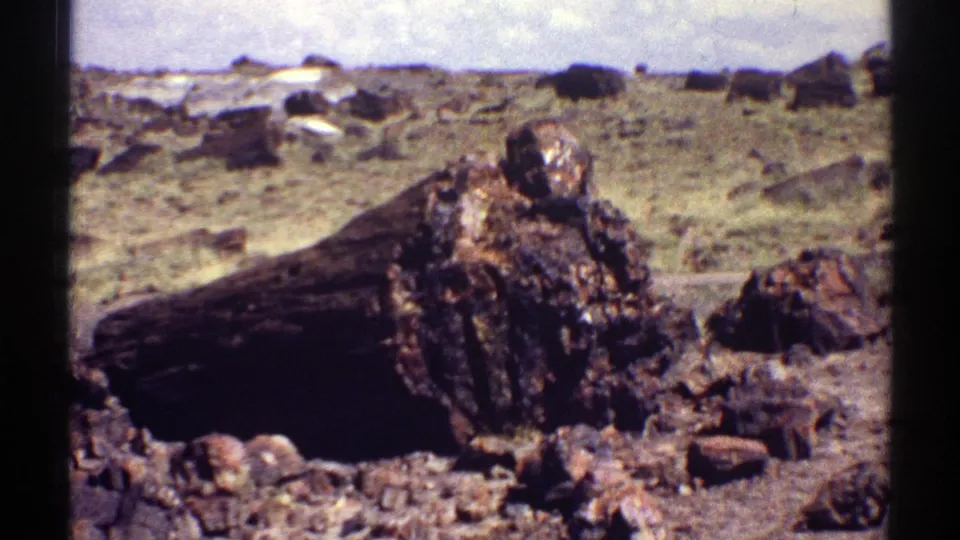 1969 Arizona 8mm frame showing broken petrified wood sections near a fallen log on rocky desert terrain.