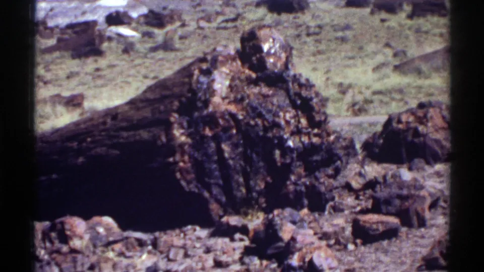 1969 Arizona home-movie frame with large fractured petrified wood pieces in the foreground and arid rocky terrain behind.