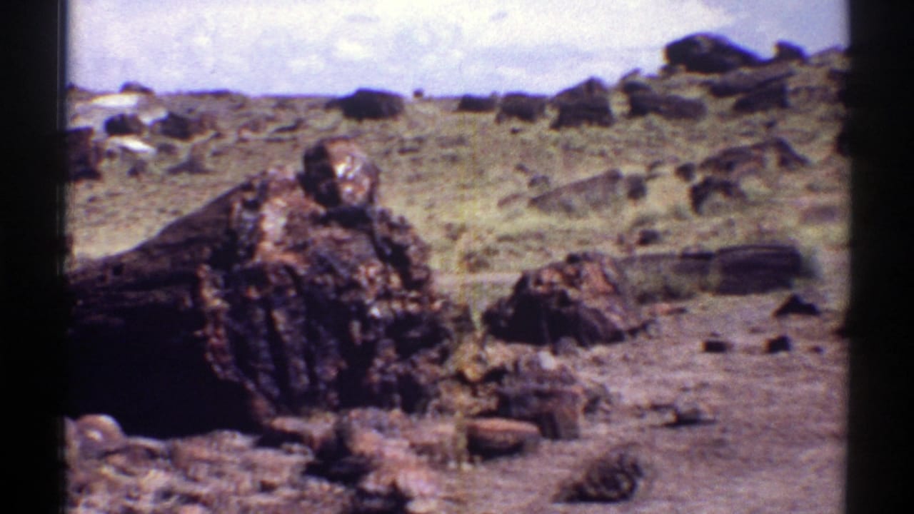 1969 Arizona 8mm frame showing large petrified wood logs and scattered rocks across a dry desert slope.