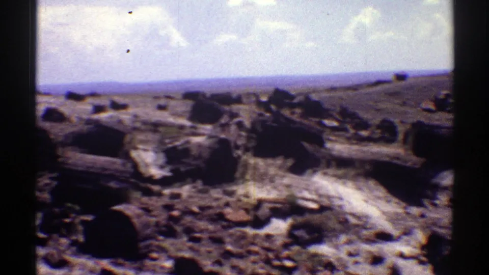 1969 Arizona 8mm frame looking across petrified wood, rocks, and open desert toward a distant horizon.